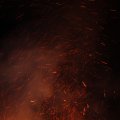 IMG_516356