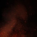 IMG_516358