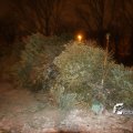IMG_516676