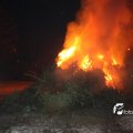 IMG_516721