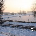 IMG_517068