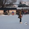 IMG_517160