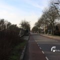 IMG_520848