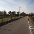 IMG_520930