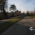 IMG_520931