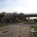 IMG_520991