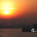 IMG_525361