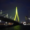 IMG_555344