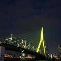 IMG_555345