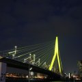 IMG_555347