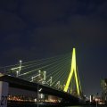 IMG_555349
