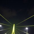 IMG_555384