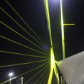 IMG_555439