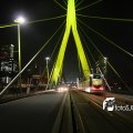 IMG_555466
