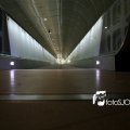 IMG_555595