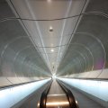 IMG_555596