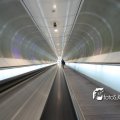 IMG_555601