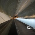 IMG_555611