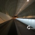 IMG_555612