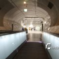 IMG_555619