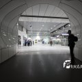 IMG_555624