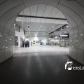 IMG_555625