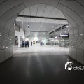 IMG_555626