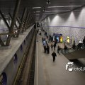 IMG_555633