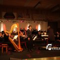 IMG_560023