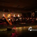 IMG_560029