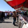 IMG_557635