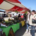 IMG_557653