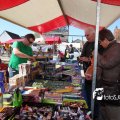 IMG_557687