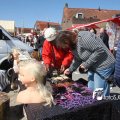 IMG_557691