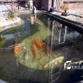 IMG_557743