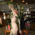 IMG_557873