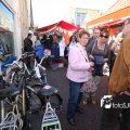 IMG_558441
