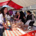 IMG_558536