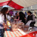IMG_558537