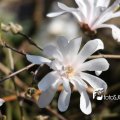IMG_553746