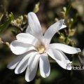 IMG_553748
