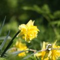 IMG_553749