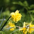IMG_553750