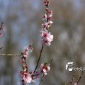 IMG_553765