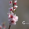 IMG_553766