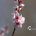 IMG_553767
