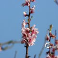 IMG_553768