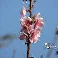 IMG_553770