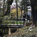 IMG_553780