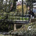 IMG_553781